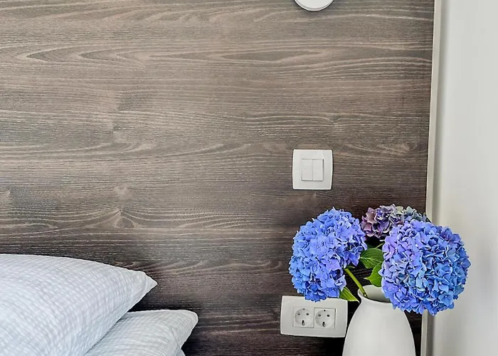 Mirko * 바르바리가